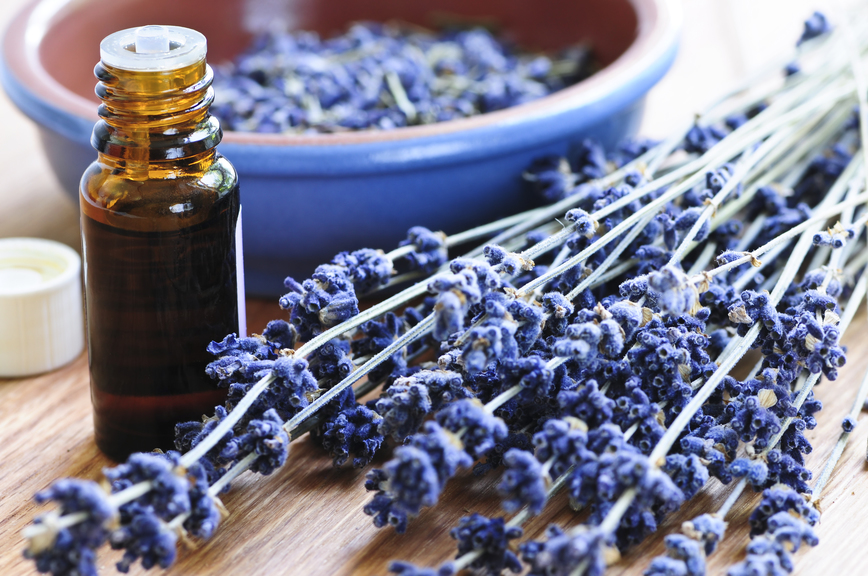 Dried lavender herb and essential aromatherapy oil