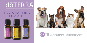 doterra-essential-oils-for-pets-banners