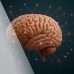 Acupuncture for Stroke Recovery: Rebuilding the Brain
